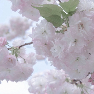 镜湖FurryQQ群介绍